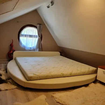 Flamingó * Balatonszárszó