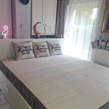 Flamingo * Balatonszarszo