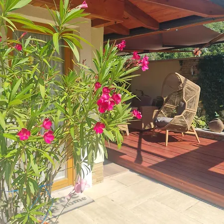 Flamingo بالاتونسزارسكو