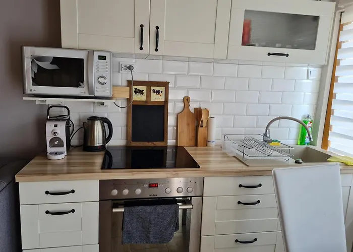 Flamingo Semesterbostad Balatonszarszo