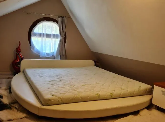 Flamingo * Balatonszarszo