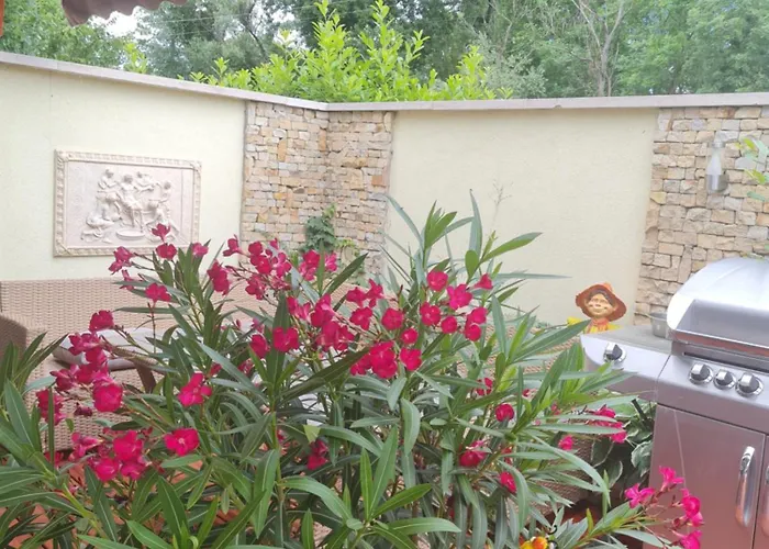 Flamingo Semesterbostad