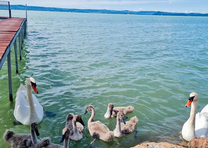 Holiday home Flamingo *