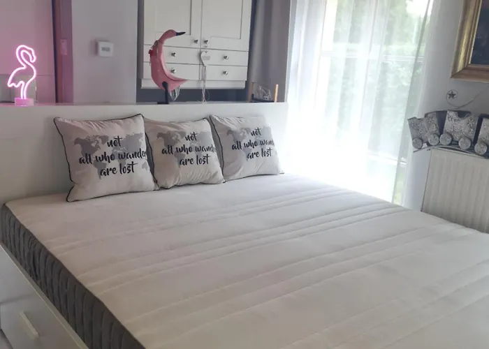 Flamingo * Balatonszarszo